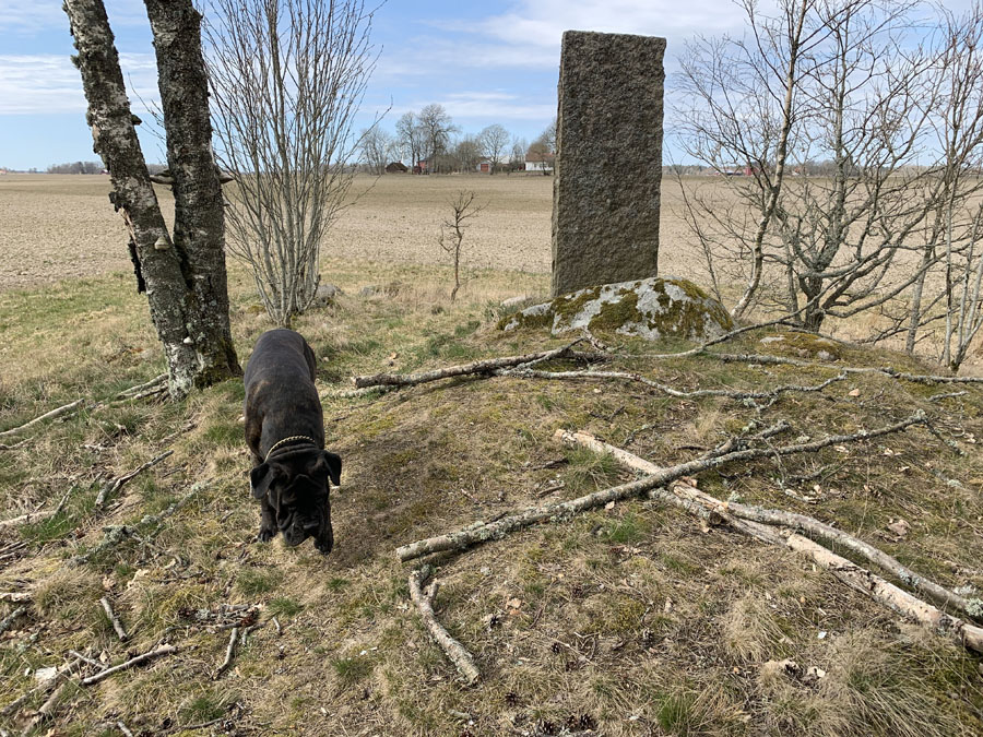 Hullsjö kyrkoruin