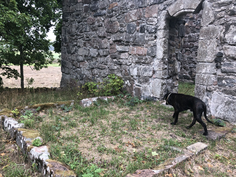 Södra Härene kyrkoruin