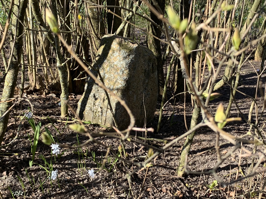 Träslövs kyrkoruin